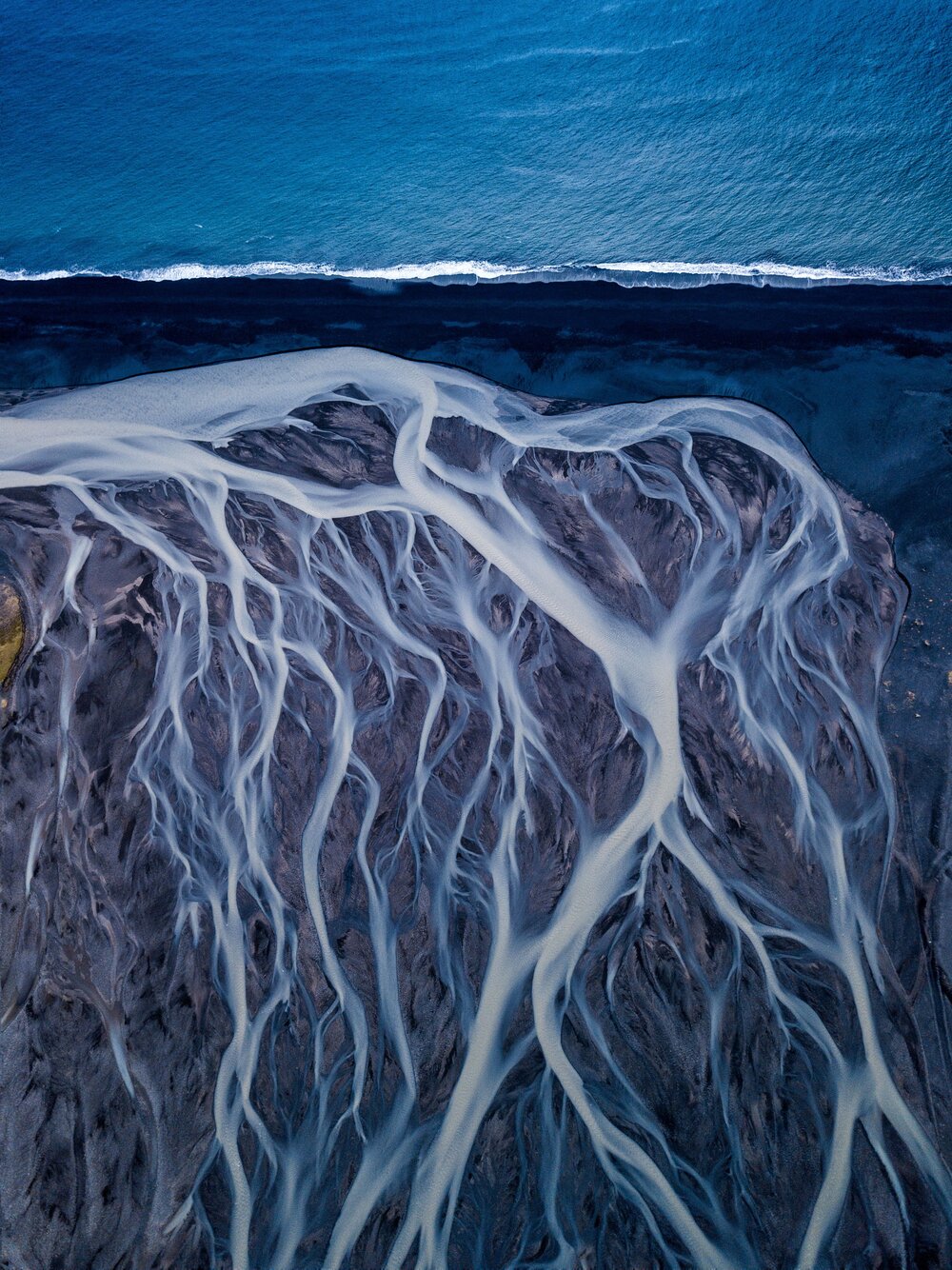 Нереально. Найкращі фото дикої природи за версією World Nature Photography Awards