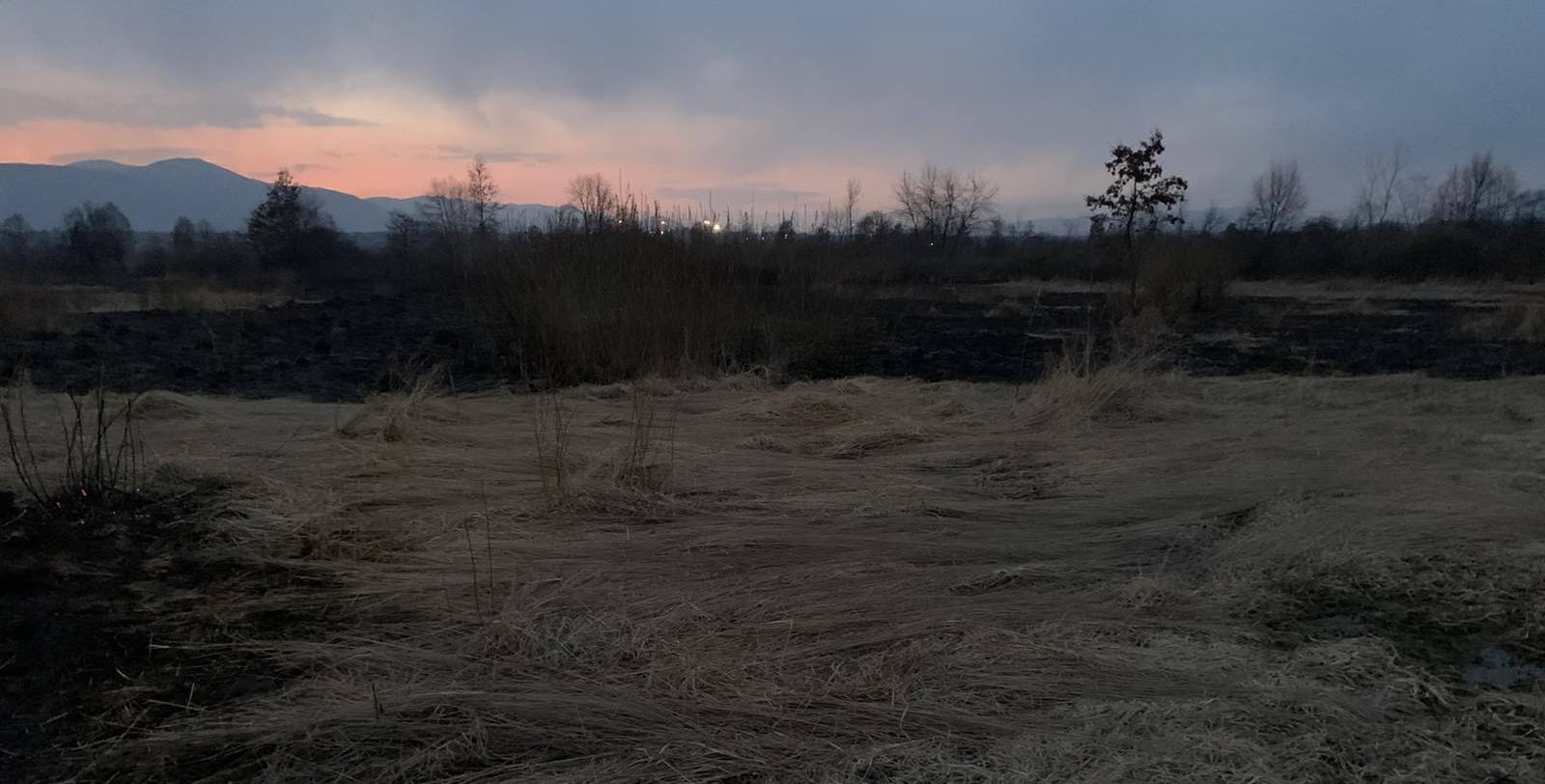 Вместо цветов пока остатки сухой травы после пожара (фото – zk.dsns.gov.ua)