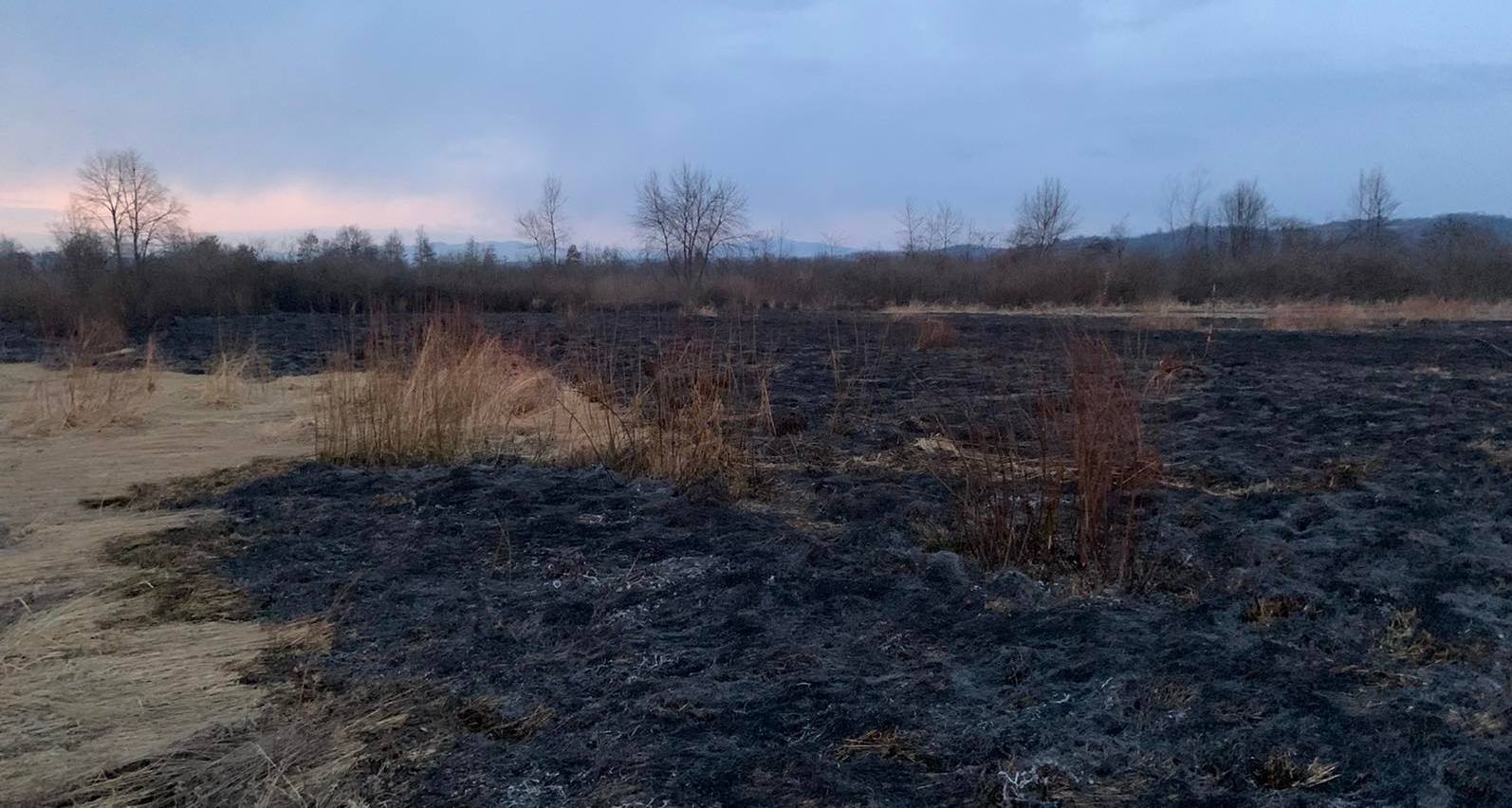 Выгоревшая долина (фото – zk.dsns.gov.ua)