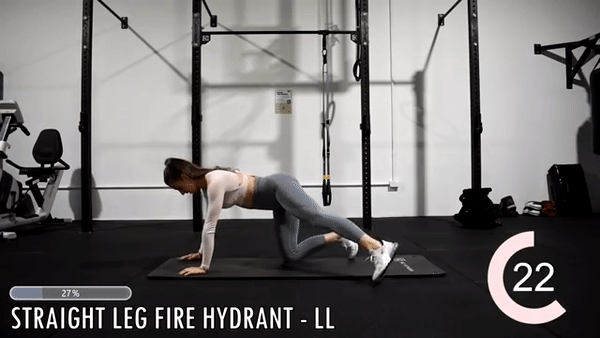 Фрагмент з відео getfitbyivana
