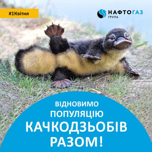 Фото – facebook.com/NaftogazGroup