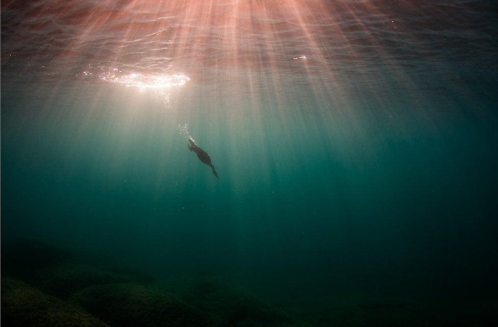 Фото: GÁBOR LI, BIRD PHOTOGRAPHER OF THE YEAR