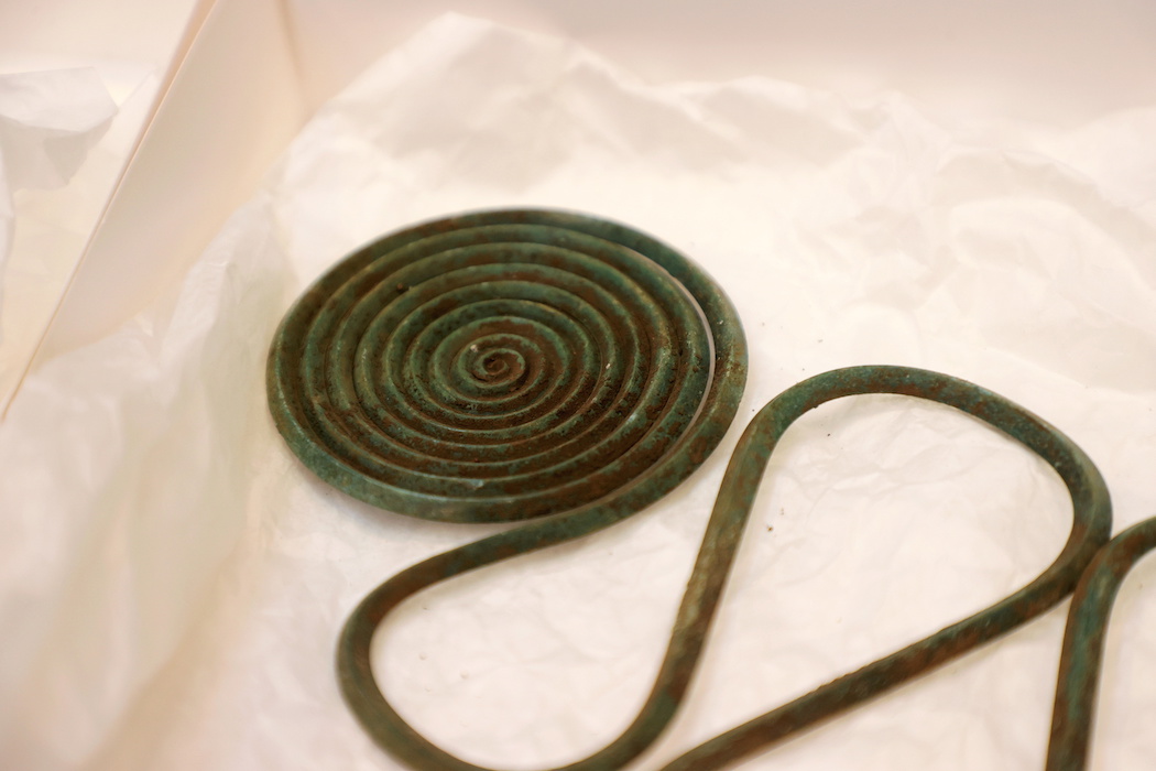 2500 лет. В Швеции картограф случайно нашел клад украшений бронзового века: видео, фото