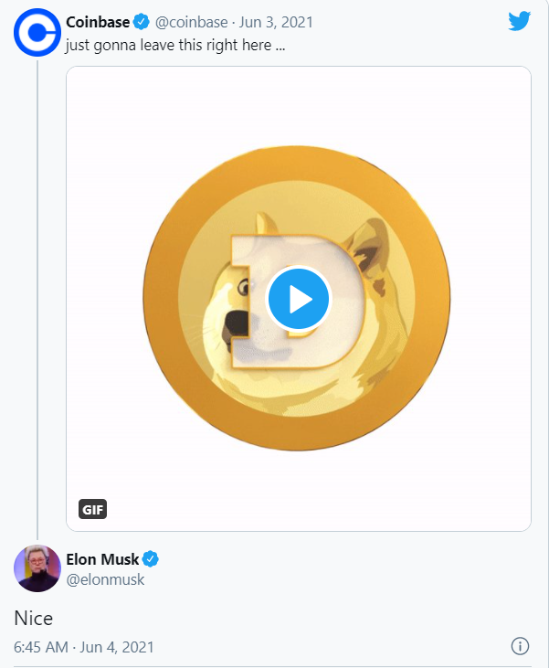 Фото: Elon Musk/Twitter