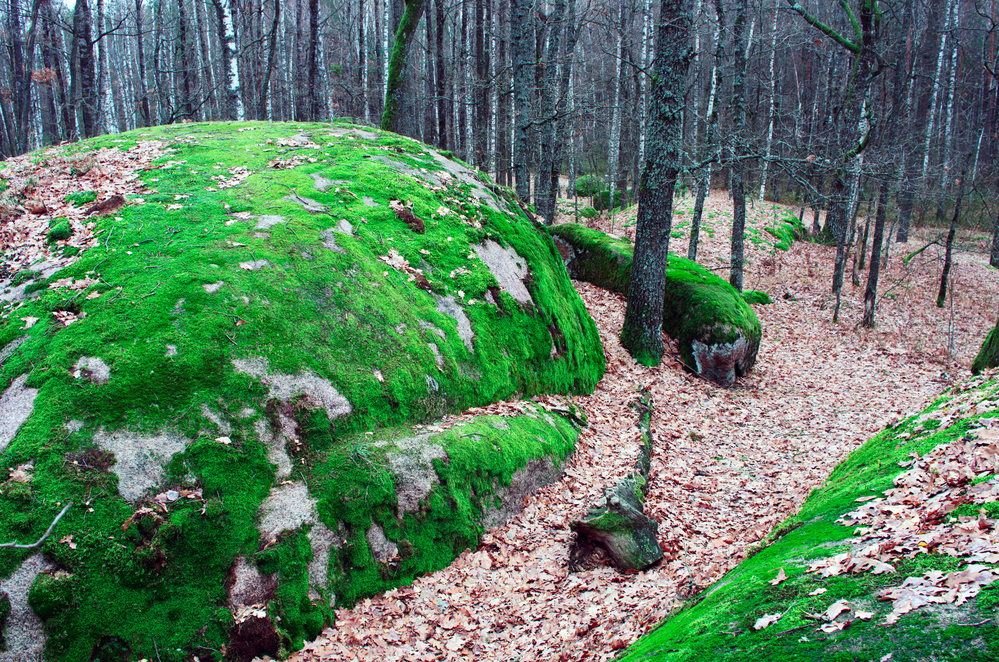 Кам'яне село. Фото: depositphotos.com