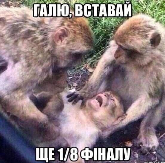 З соціальних мереж