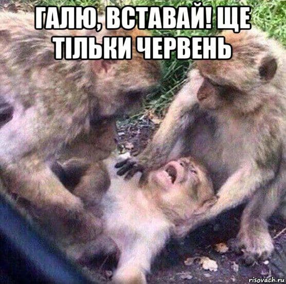 З соціальних мереж