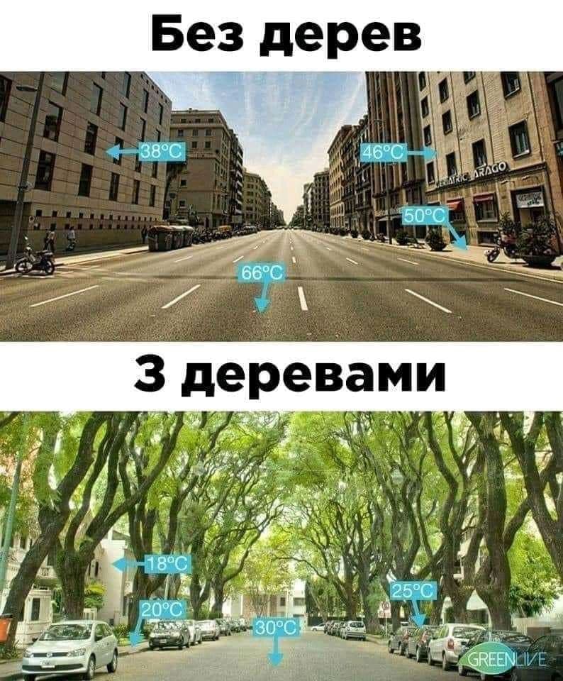 З соціальних мереж
