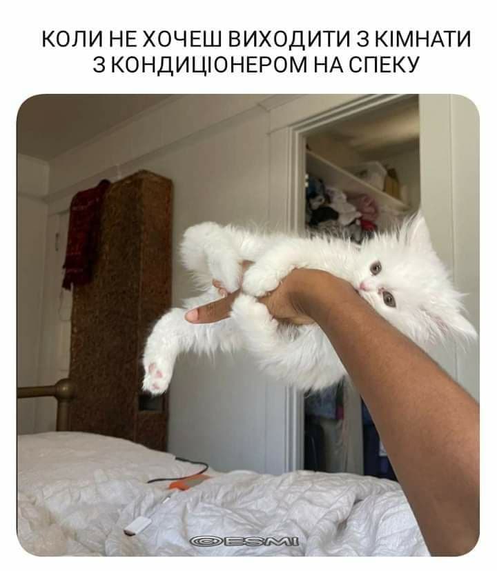 З соціальних мереж