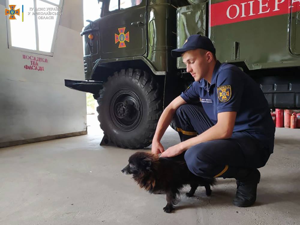 Фото: пресслужба ДСНС