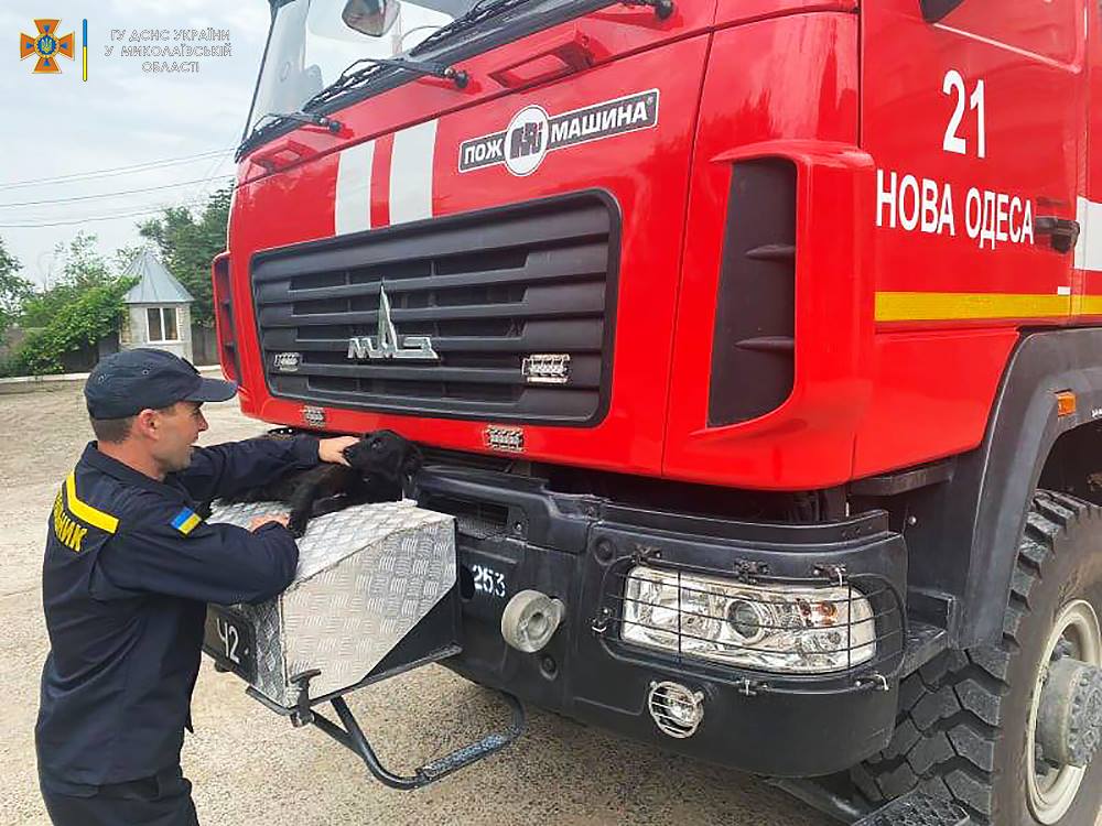 Фото: пресслужба ДСНС