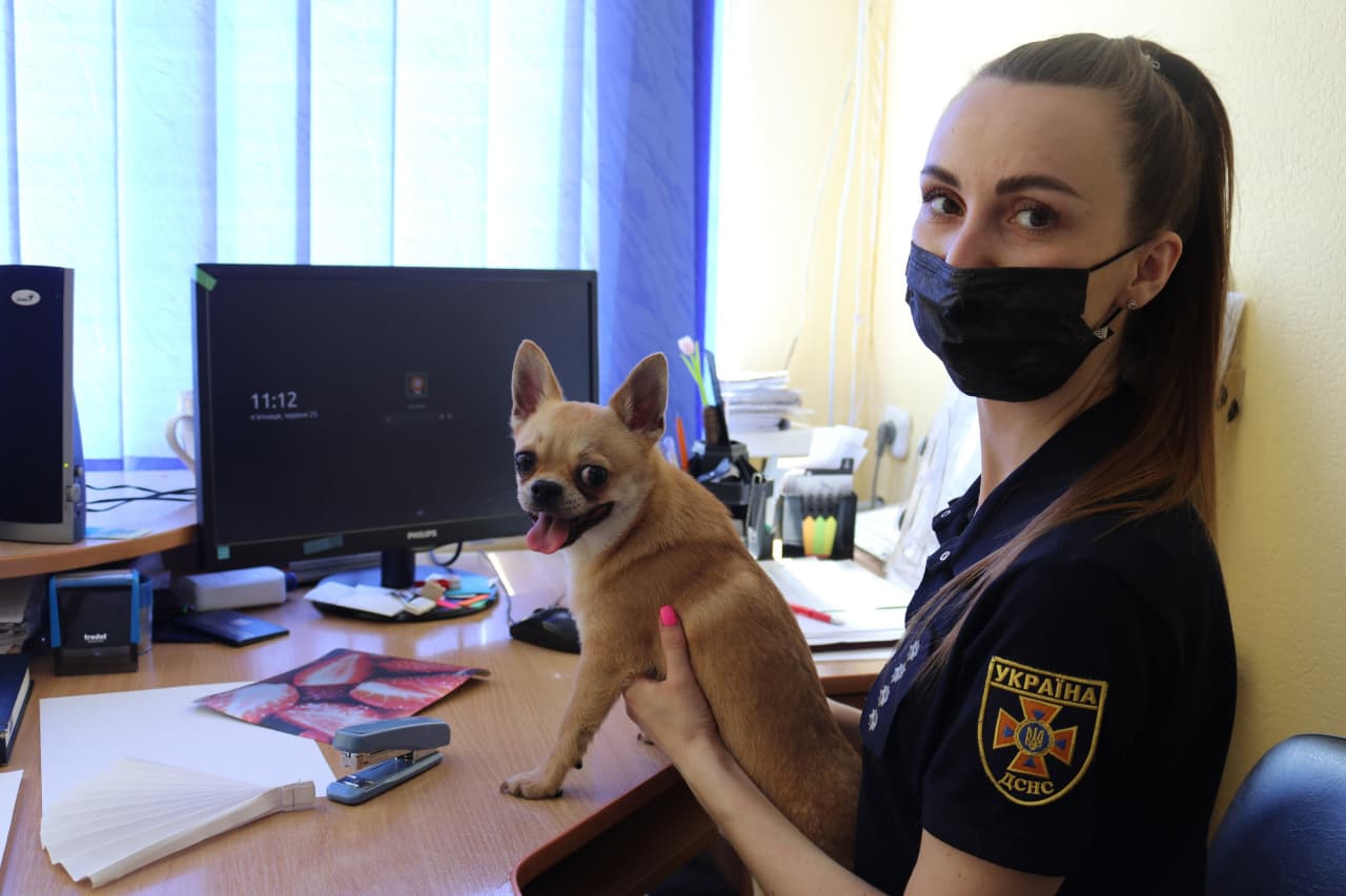 Фото: пресслужба ДСНС
