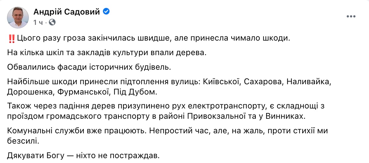На Львів знову обрушилася буря: відключено електрику, повалені дерева – відео