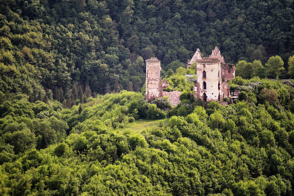 Червоноградський замок. Фото: depositphotos.com