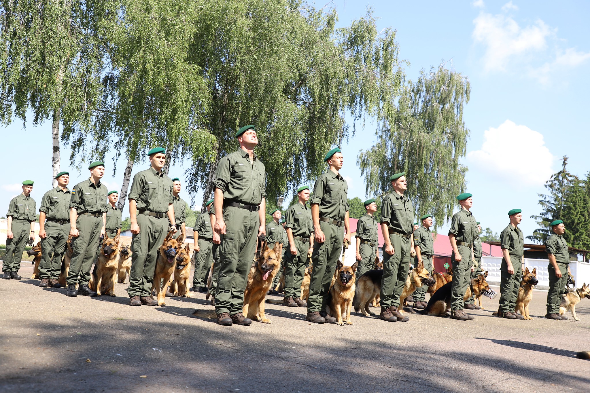 Собаки пограничников впервые пройдут в параде ко Дню независимости. Уже репетируют: фото