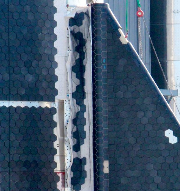 Фото: Elon Musk/Twitter