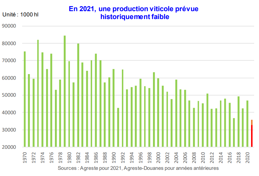 "Крупнейшая катастрофа". Франции грозит рекордное падение производства вина
