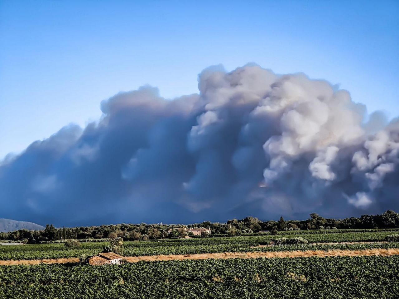 Эвакуируют тысячи местных и туристов. Юг Франции охватили масштабные пожары – фото, видео