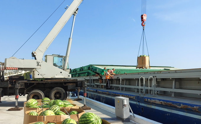 К киевлянам "приплыли" 300 тонн арбузов из Херсона: фото