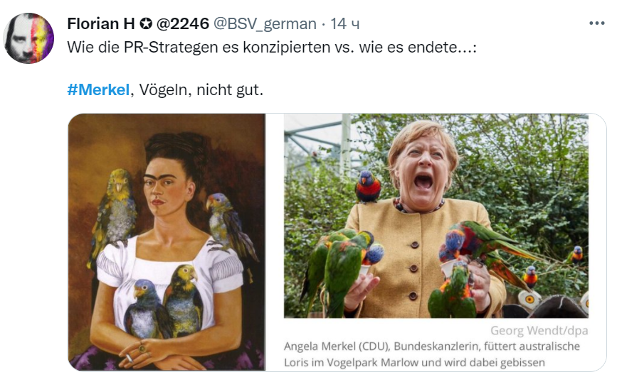 На Меркель "напали" попугаи. В сети пошла волна мемов и фотожаб