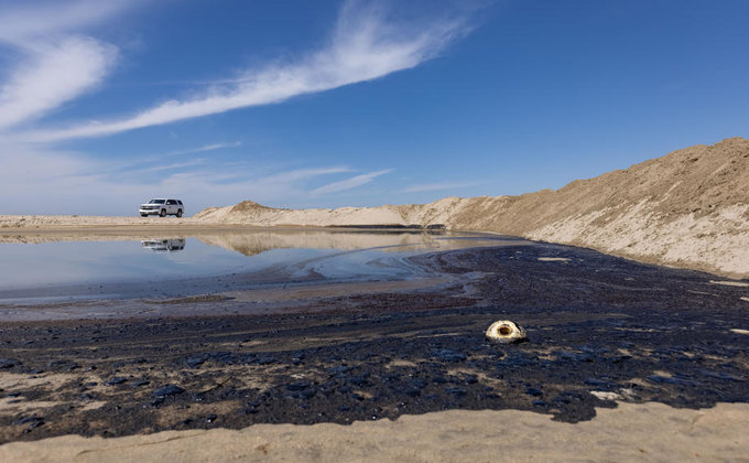 Гибнут птицы и рыба. Возле берегов Калифорнии произошел масштабный разлив нефти – фото