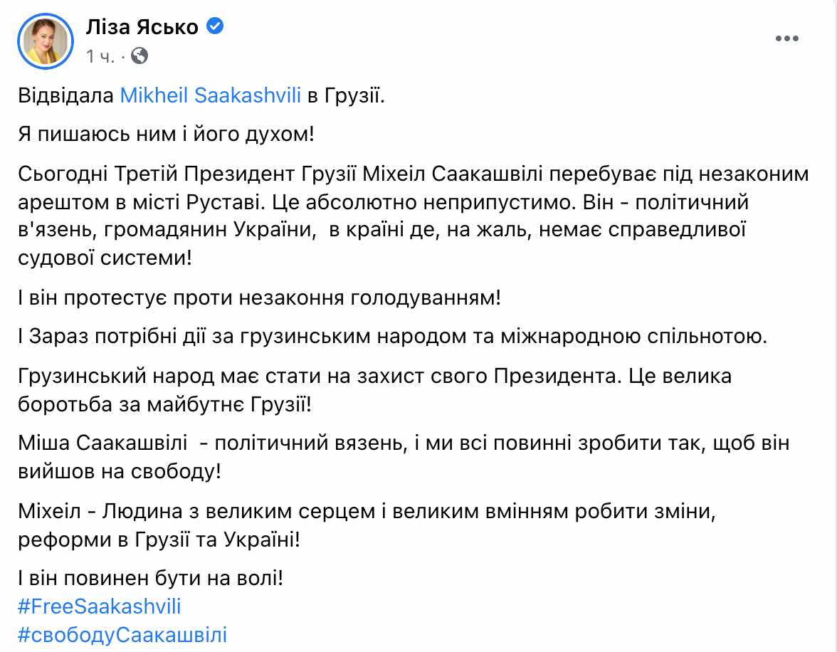 Скриншот Депутат Лиза Ясько встретилась с Саакашвили в Грузии: видео