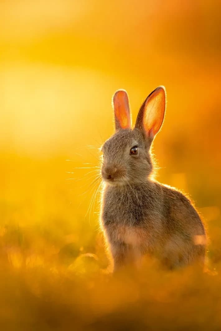 Фото: Mitchell Lewis, nationalgeographic.co.uk