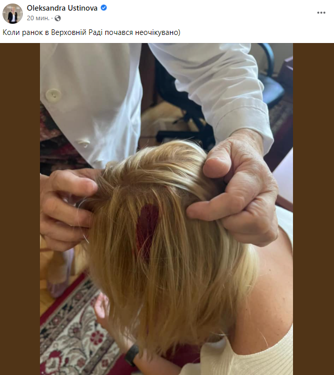 Скриншот – Facebook/Олександра Устінова На нардепку Устінову в Раді впав дверний засув