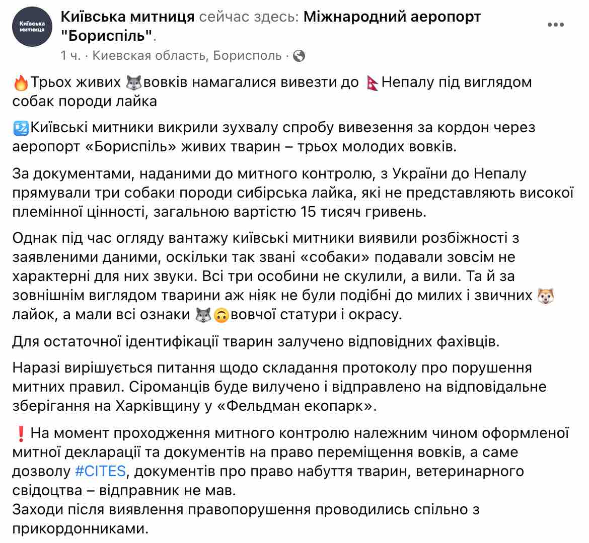 Скриншот Индиец пытался вывезти из Украины в Непал трех волков под видом лаек: видео