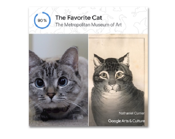 Сервис Pet Portraits с образом кота Фото – Google