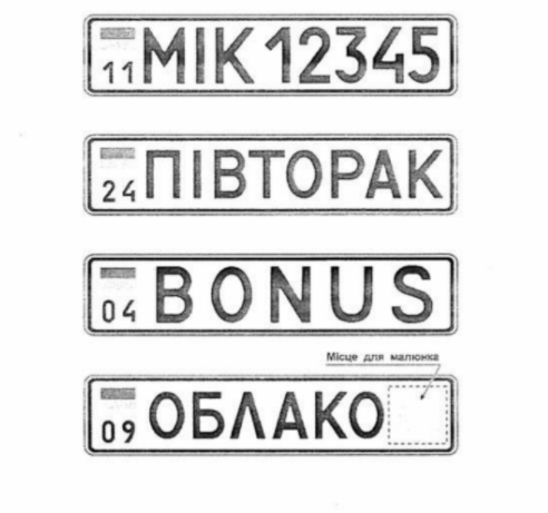 вилучені з документа зразки номерних знаків (джерело: Кабмін)
