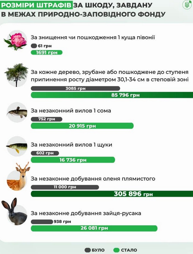 Нажмите на фото, чтобы увеличить