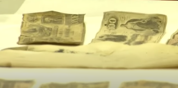 Банкноти Конфедерації (Скриншот із відео VPM, YouTube)