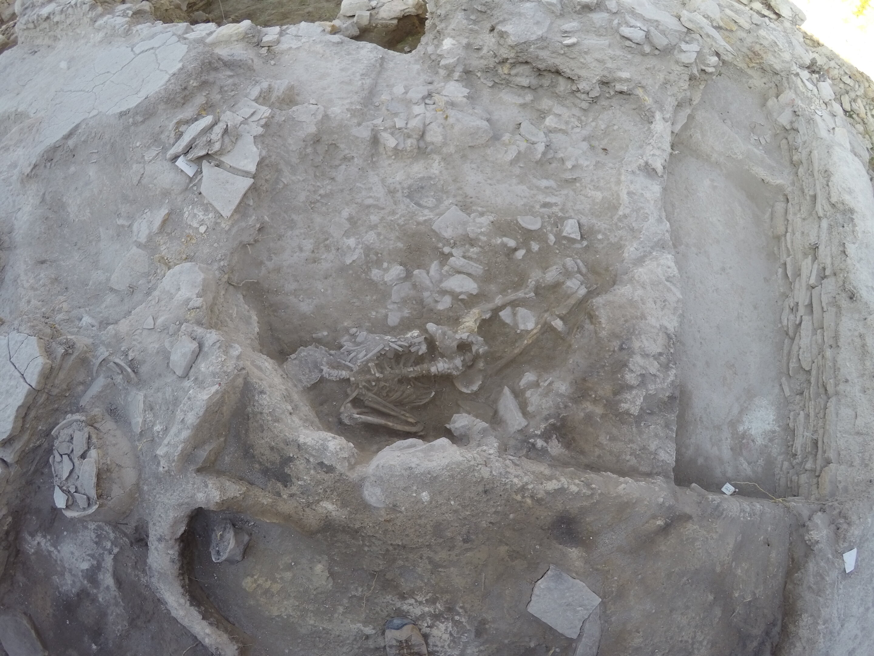 В Турции ученые обнаружили останки молодого человека, убитого 3600 лет назад цунами: фото