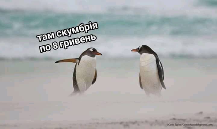 Фото – соцмережі