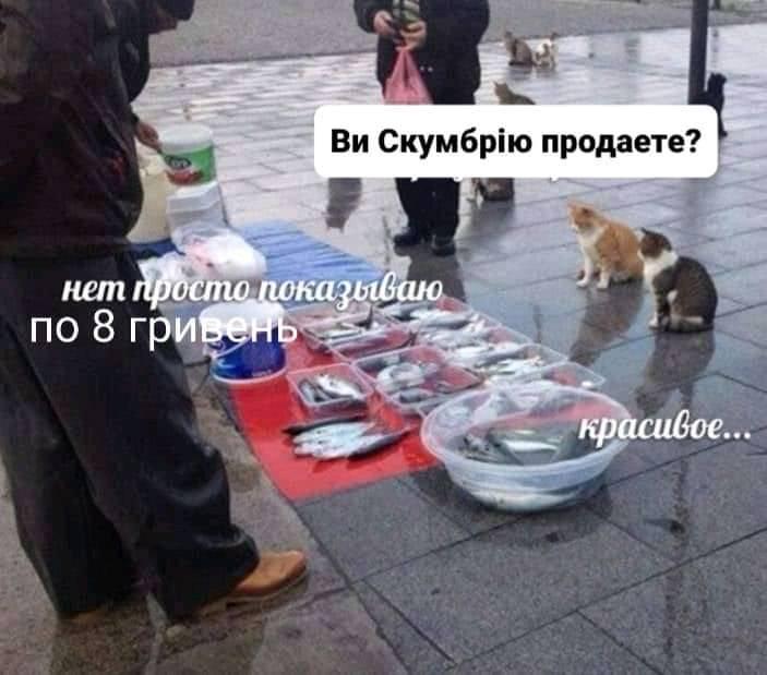 Фото – соцмережі