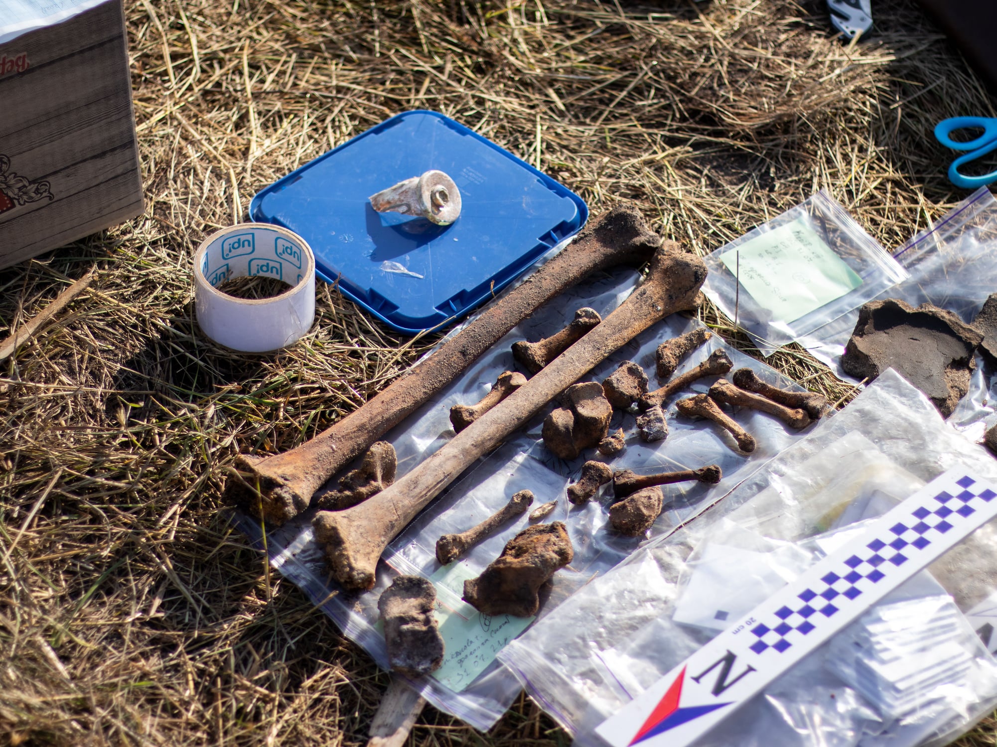 Во Львовской области археологи обнаружили артефакты времен Римской империи: фото