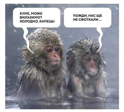 Фото з соцмереж