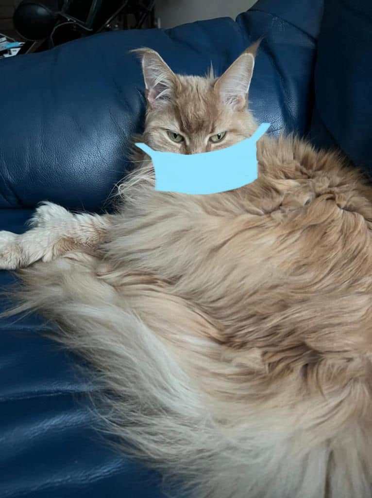 Фото: ФБ Резникова