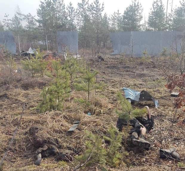. ЗСУ знищили групу окупантів з Абхазії, тероборона спалила росіян на Київщині: фото