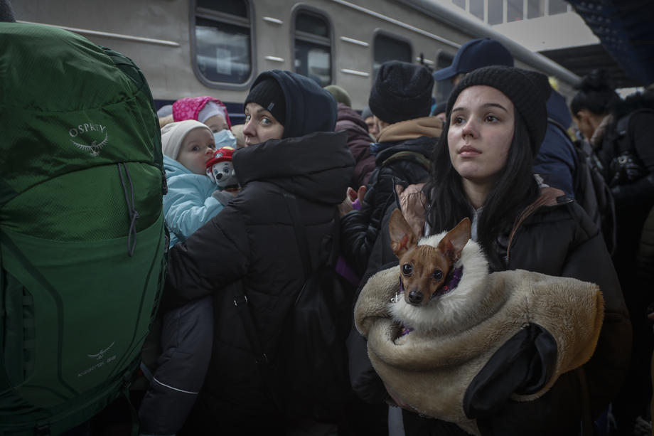 Билет в вагон люкс. Репортаж об эвакуации из Киева - Фото