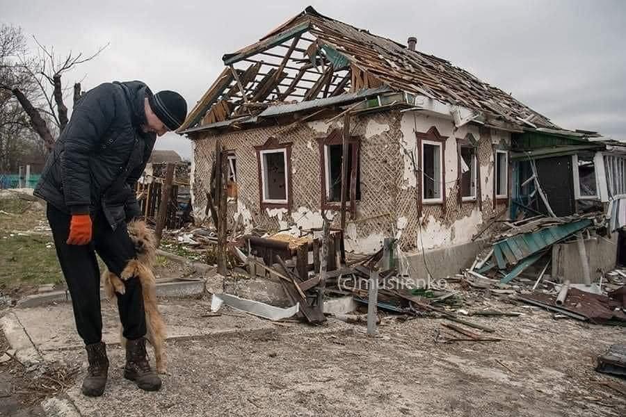 Фото - Владислав Мусиенко