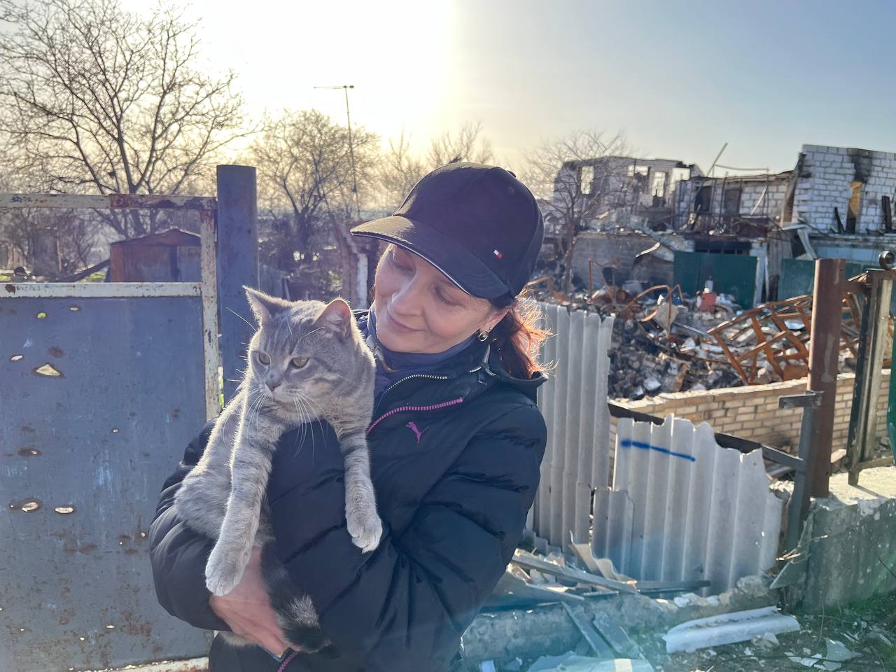 Спасти рядового котика. Как животные помогают людям оставаться людьми во время войны - Фото