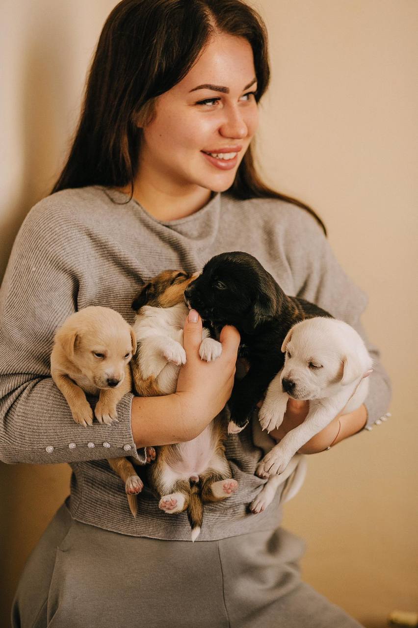 Фото: dogs_adopt_kyiv