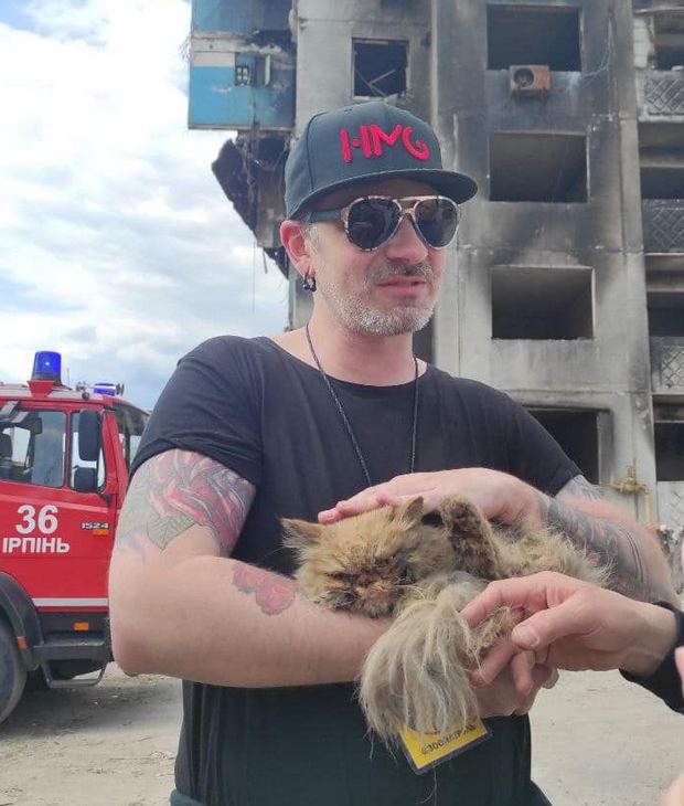 Врятувати рядового кота. Тварину зняли з 7-го поверху розбомбленого будинку у Бородянці – відео