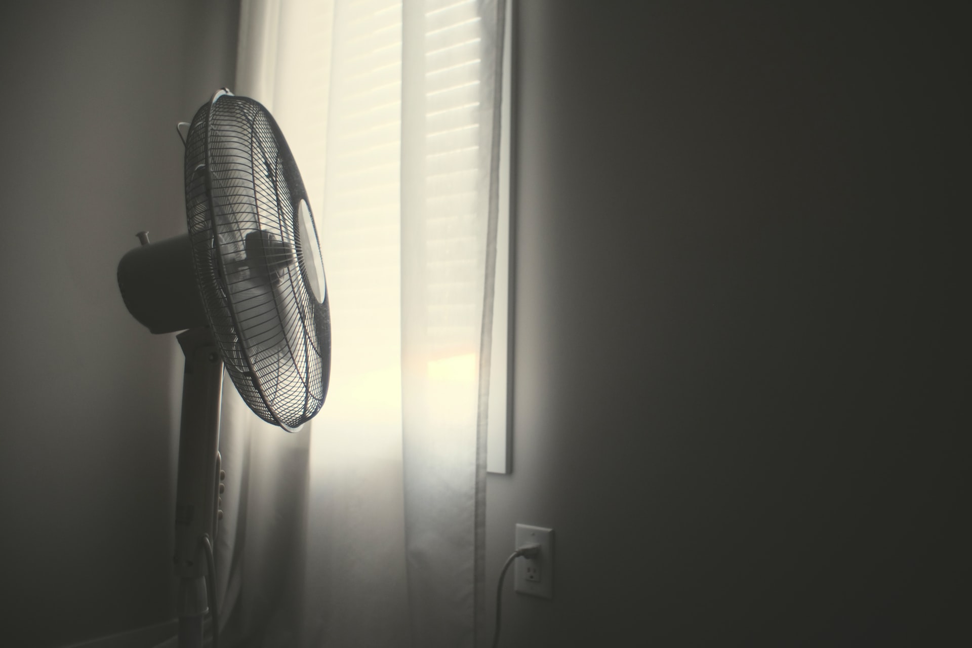 Вентилятор. Фото – Unsplash