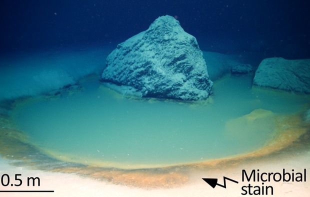 В пучине Красного моря обнаружены экзотические подводные бассейны с рассолом: фото
