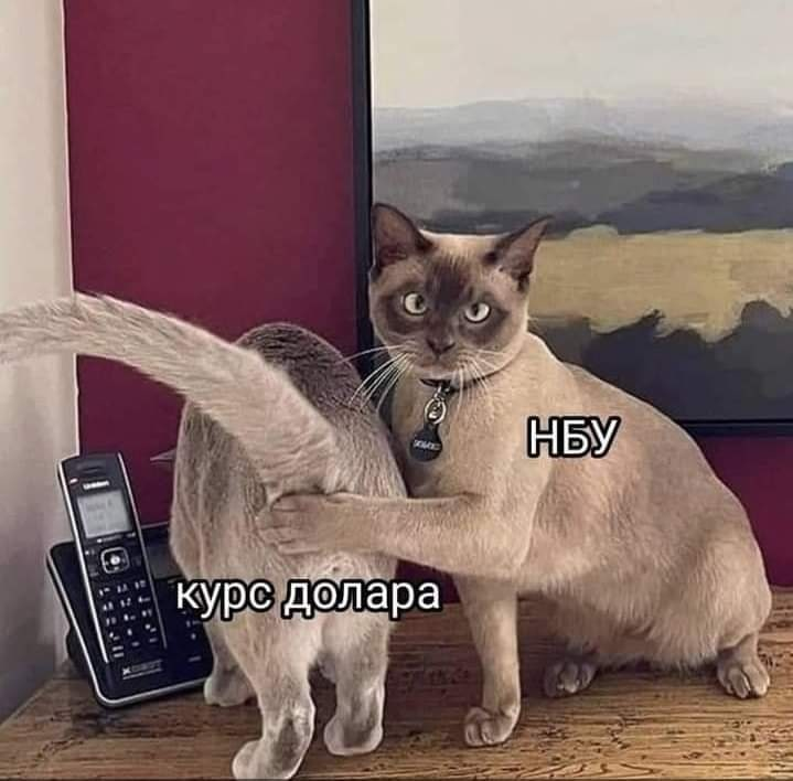 З соціальних мереж