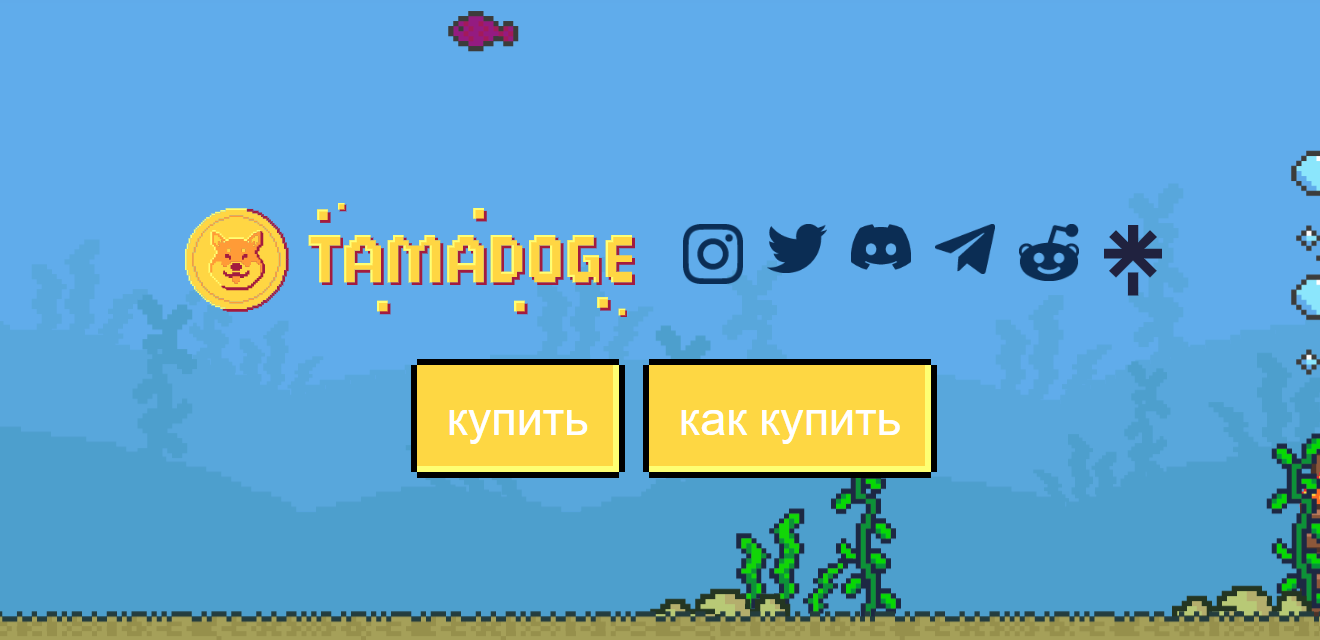 Перспективные криптоактивы: какие токены могут вырасти в 2022 году