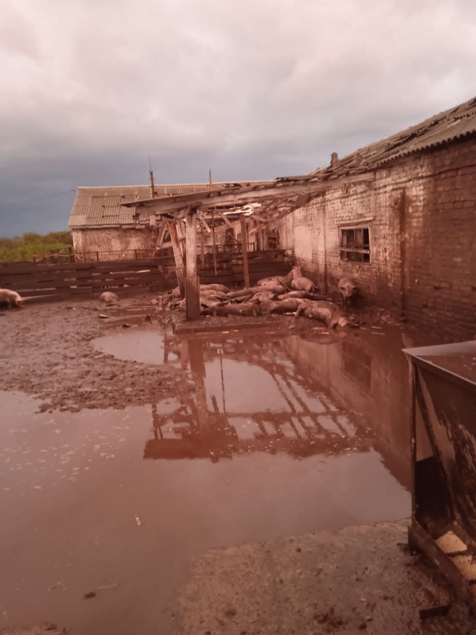 Росіяни двічі за день обстріляли Сумську область: загинув мирний житель, зруйновано ферму